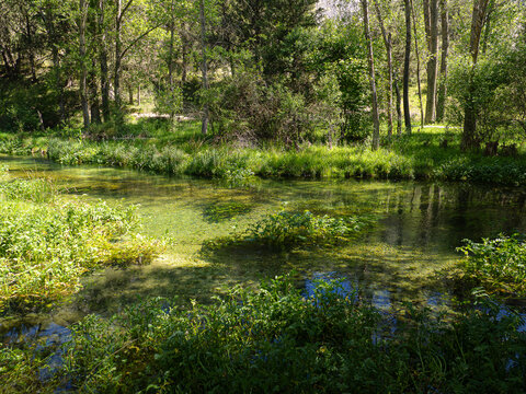 Vistas verdes de las aguas del río en la reserva Natural del Sabinar de Calatañazor, en Soria, España, verano de 2021