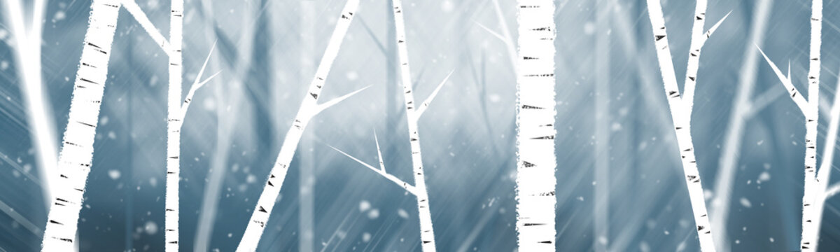 Winter forest