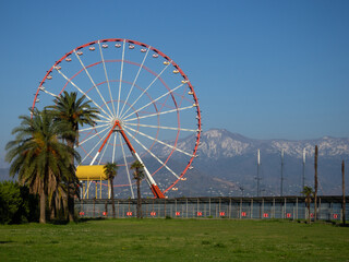 Fototapeta premium Ferris wheel against the backdrop of mountains and palms. Coast of the southern city. Amusement park and mountains.