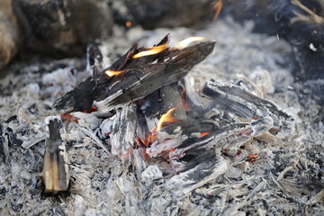 bonfire on the ground