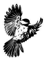 The black tit is flying. Bird. Black and white illustration of a bird on a white background.