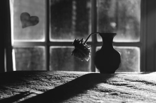 Flor marchita en un florero delante de la ventana en blanco y negro