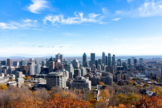 Cityscape in Fall 
