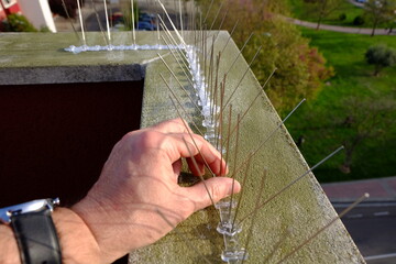 detail of an operator's hand placing steel dowels on the cornice of a building to control birds...