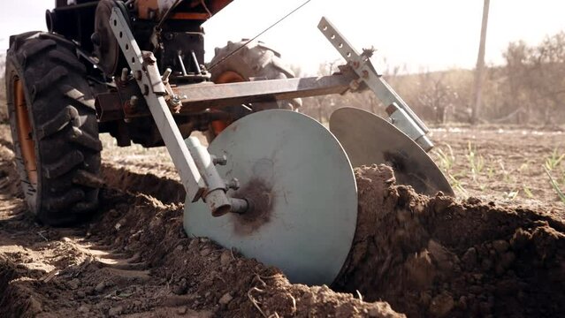 Farmer man works, ploughing in garden chernozem field with motorized unit motoblock - type of small-sized tractor, used in household. Cultivation of land, planting potatoes, plowing soil. Agriculture.