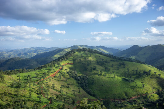 Verd&atilde;o