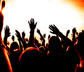 crowd of people dancing at concert