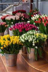 Many different colors on the stand table in the flower shop. Showcase. Background of mix of flowers. Beautiful flowers for catalog or online store. Floral shop and delivery concept.