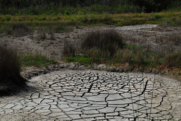 Florida- Climate Change- Everglades National Park- Dried Up Wetlands and Water Holes