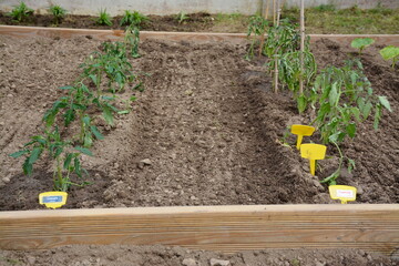 Le jardin - Le plaisir de jardiner