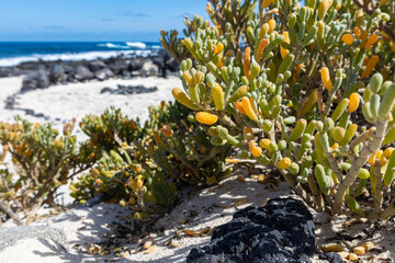 Lanzarote, Canary Islands