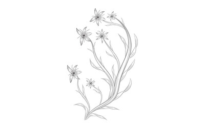 Coloring page hand-drawn floral elements.