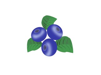 blueberries with leaves