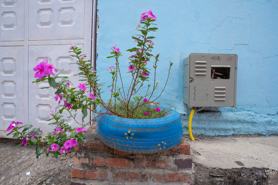 San Joaquin, La Mesa, Cundinamarca, Colombia, April 14, 2022. Car tires recycled into a flowerpot in an alley