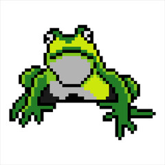 Frog with pixel art. Vector illustration.