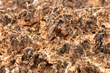 Fine Textures Of Desert Crust