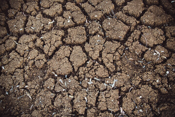 cracked soil background