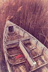 Abandoned wooden row boat in the reeds