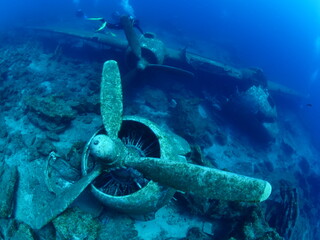 air plane wreck fish around ocean scenery of airplane and metal on ocean floor  scenery scuba...