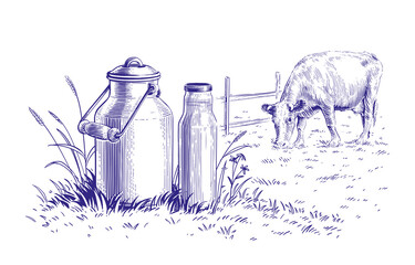 milk in a can and a cow hand drawing sketch engraving illustration style