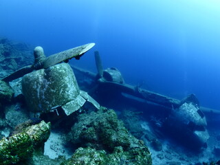 airplane wreck c47 dakota aircraft underwater propeller airplane engine metal on ocean floor scuba...