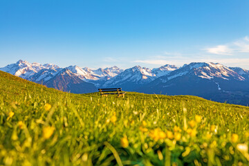 Fototapeta na wymiar Bank - Allgäu - Alpen - Frühling - Entspannung - Panorama - Bergkette