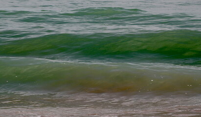 waves on the beach