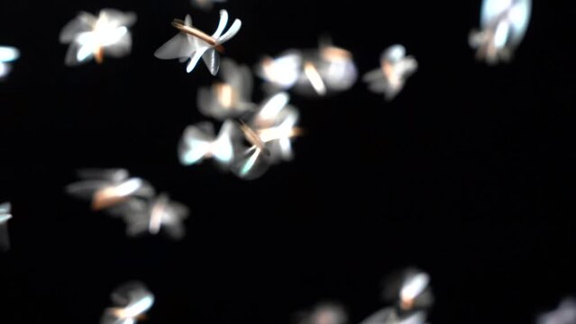 Fast fly of nocturnal insects, low and blurred images to highlight the long night light and flying animations of flying termites.