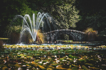 New Zealand, this bridge, fountain and the lake full of flowers is located in Queenstown Gardens on...
