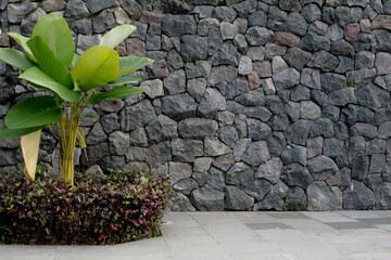 stone wall with tree