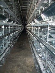 Rows of empty cages from inside an industrial chicken egg layer confinement building.