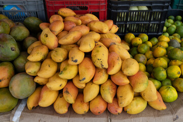 Ripe organic mango fruits on an outdoor market stall