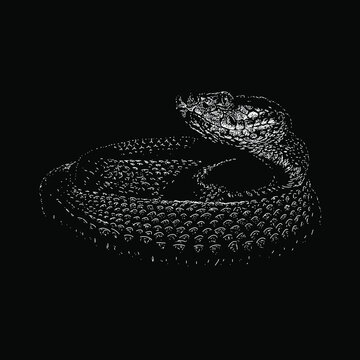 habu snake hand drawing vector illustration isolated on black background
