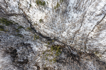 Multnomah Creek in Oregon flows through a forest that was recently damaged by a forest fire. Late spring snow provides plenty of water that will eventually tumble into the Columbia River Gorge.