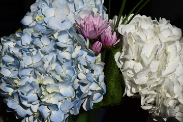 Pastel bouquet of spring flowers