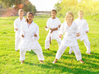 Naklejka na ściany i meble Multinational group of schoolchildren, boys and girls, practicing karate at the park outdoors
