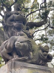 Fototapeta na wymiar Guardian lion at the shrine of Japan, Otori Shrine, Tokyo, stone structure