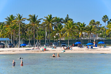 Warm sunny day with palm trees swaying at Higgs Memorial Beach Park in Key West, Florida