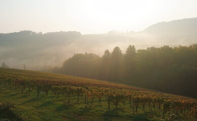 Leicht nebliger Sonnenaufgang