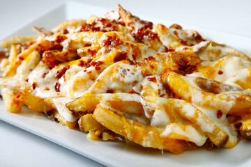 cheese fries with bacon bits