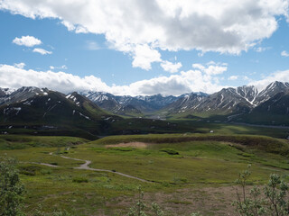 Fototapeta na wymiar Mountains in Denali, Alaska