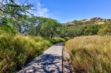 Landscapes atop and around Diamond Head volcanic crater on Oahu