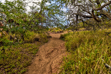 Scenery around Hanauma Bay and Koko Crater on Oahu
