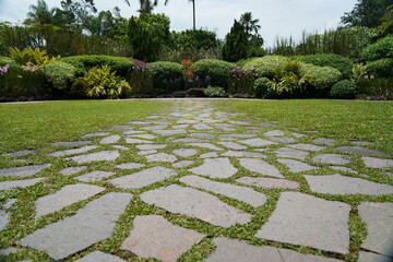 garden path in garden