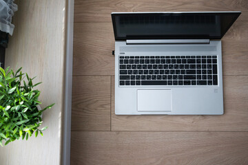 Top view of opened laptop. Home workplace with plants