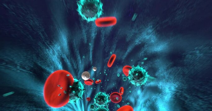 Blood Cells Flowing Slowly Inside Human Vein With Viruses. Pandemic Disease. Perfect Loop. Science And Health Related 3D Animation.