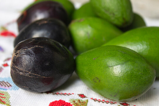 Aguacates Criollos De Sabinas