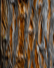 abstract motion blur of close up of tree with splitting bark special movement effect crested by intentional camera movement vertically with long time exposure fun with shutter speed rust and grey