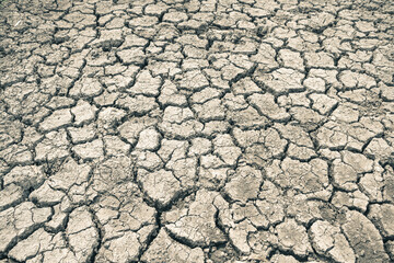Landscape ground cracks drought crisis environment background.