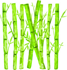 Green bamboo with leaves for background